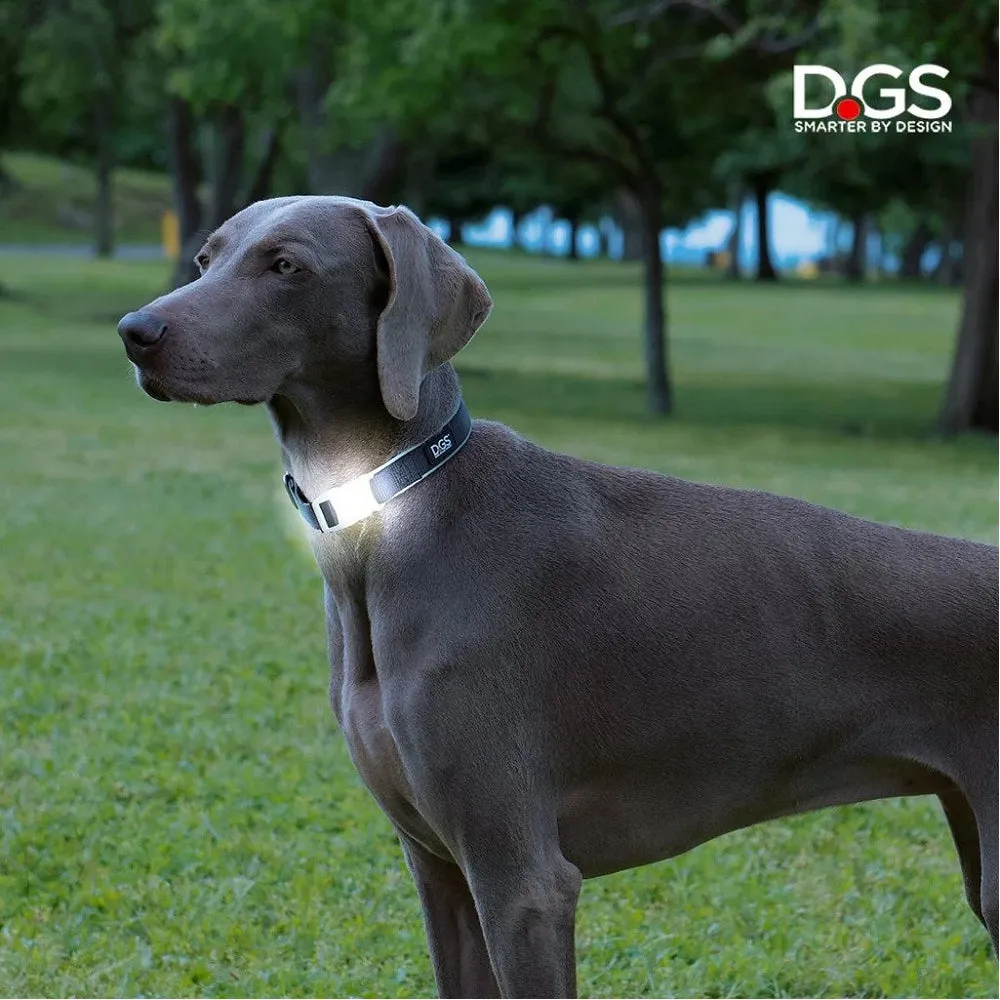 Comet LED Safety Dog Collar