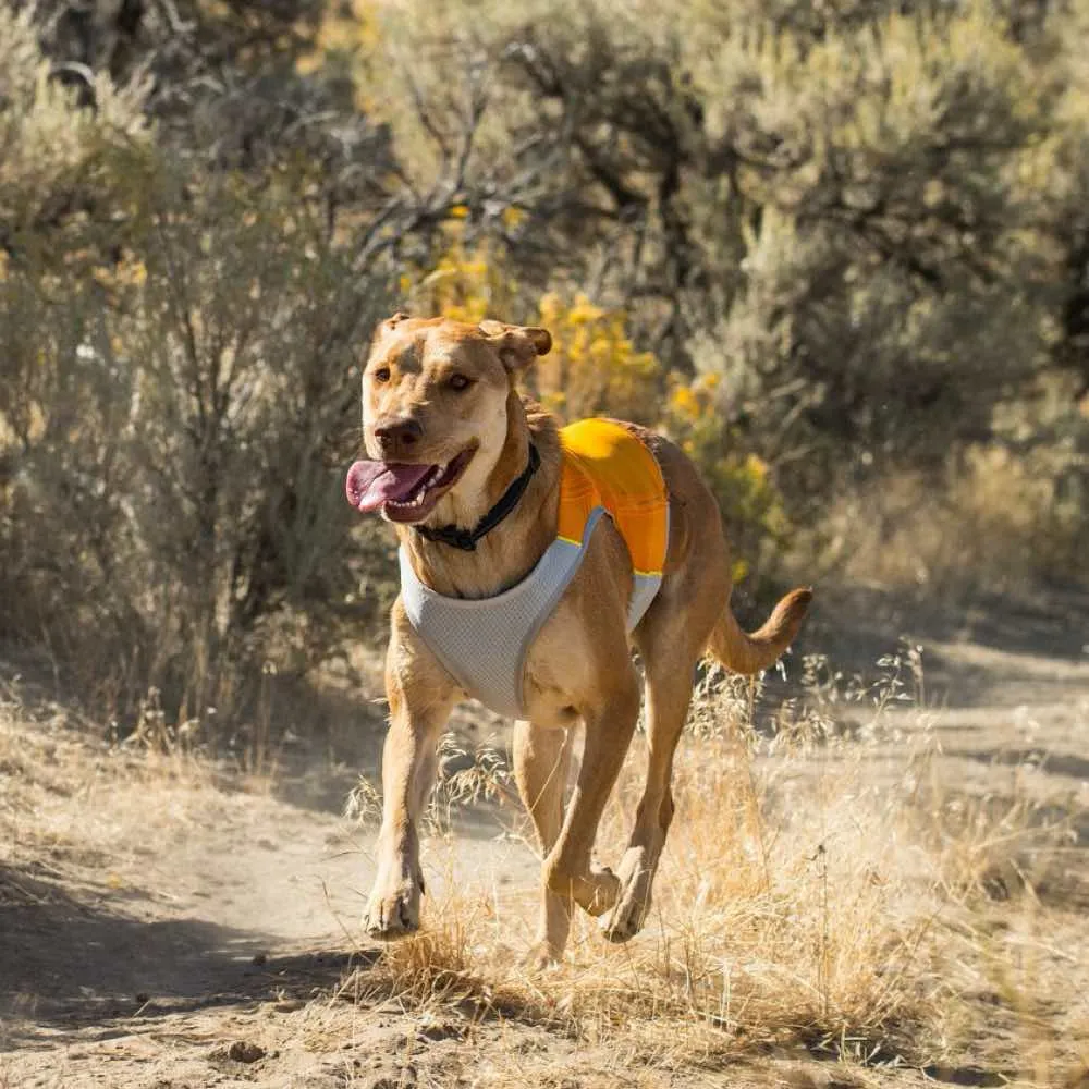 Ruffwear Jet Stream Lightweight Cooling Dog Vest (Salamander Orange)